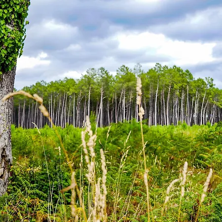 Tatil Evi 'l'andelu' - Conciergerieland *