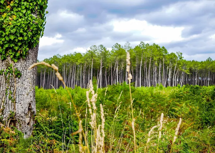 Tatil Evi 'l'andelu' - Conciergerieland *