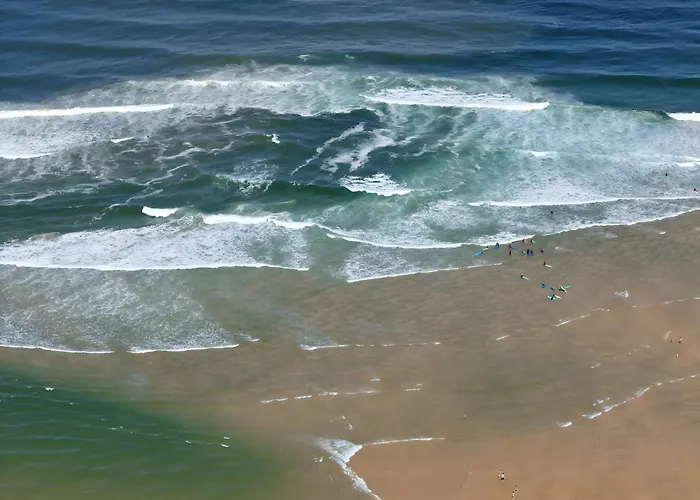'l'andelu' - Conciergerieland Saint-Michel-Escalus